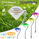 Solarek® Solar Diamond-Shape Garden Stake Light (4-Pack) product