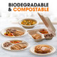 Cheer Collection® 7-Inch Biodegradable Compostable Paper Plate (200- to 1,000-Pack) product
