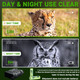 Binoculars Night Vision Goggles Infrared 1080P 5X Digital Zoom Hunting Telescope Outdoor Day Night Dual Use product