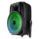 Emerson™ Portable 8-Inch BT Party Speaker with FM Radio & Disco Light, EDS-8000 product