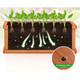 Raised Garden Bed Wooden Planter Box with Drainage Holes product