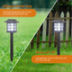 White LED Solar Landscape Lighting (6- or 8-Pack) product