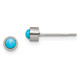 Titanium Brushed Turquoise 4mm Stud Earrings product