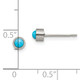 Titanium Brushed Turquoise 4mm Stud Earrings product