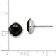 Titanium Polished Faceted Crystal Post Earrings product