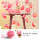 iMounTEK® Rose Flower String Lights (2-Pack) product