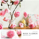 iMounTEK® Rose Flower String Lights (2-Pack) product