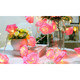 iMounTEK® Rose Flower String Lights (2-Pack) product