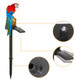 SolaREK Solar Garden Parrot Light product