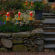 SolaREK Solar Garden Parrot Light product