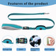 Reflective Dog Leash with Padded Handles and Poop Bag Dispenser product