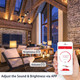 Sengled® Solo White or Solo RGBW 2-in-1 Speaker & Light Bulb product