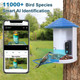 iNova™ Smart Bird Feeder with Camera product