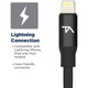 Tech Armor® Apple MFi Certified Lightning Earbuds (1 or 2-Pack) product
