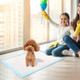 iMounTEK 50Pcs Dog Training Pads product