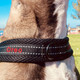 Personalized Nylon Reflective Dog Harness product