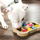 Brainiac™ Busy Bone or Busy Paw Treat Dispensing Pet Toy product