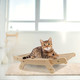 iMounTEK Cat Scratching Board product