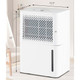 2,000 sq. ft. 32-Pint Dehumidifier with Continuous/Drying/Auto Modes product