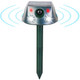 LakeForest® Ultrasonic Solar Animal Repeller product
