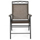 Patio Folding Sling Chair (2 or 4-Pack) product