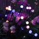 iMounTEK Solar Firefly Lights (2-Pack) product