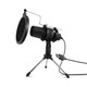 Sound Advantage Pro-Audio Condenser Microphone product