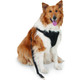 Petmate® Ultimate Travel Harnesses for Pets product
