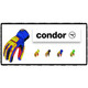 53GN CONDOR Mechanics Gloves product