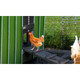 iMounTEK® Automatic Chicken Coop Door product