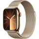Apple Watch S9 - 45MM (GPS + LTE) product