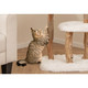 44-Inch Solid Wood Cat Tree with Perch and Natural Jute Scratching Posts product