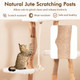 66-Inch-Tall Solid Wood Modern Cat Tree Tower with Perch product