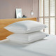 Serta Goose Feather and Down Fiber Pillow (Set of 2) product