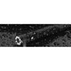 1080p Dual Lens Endoscope Camera with Light product