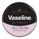 Vaseline Lip Therapy Lip Balm (6-Pack) product