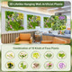 20" 3D Wall-Mounted, Framed Succulents (2-Pack) product