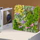 20" 3D Wall-Mounted, Framed Succulents (2-Pack) product