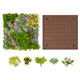 20" 3D Wall-Mounted, Framed Succulents (2-Pack) product