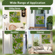 20" 3D Wall-Mounted, Framed Succulents (2-Pack) product