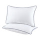 Dan River Down Alternative Pillow (2-Pack) product