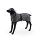 Water-Repellent Softshell Dog Jacket, Medium product