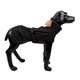 Water-Repellent Softshell Dog Jacket, Medium product