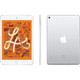 Apple Ipad Mini 5 (256GB, Unlocked All Carriers, Wifi + 4G) product