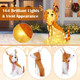 LED Lighted Christmas Dog Decoration  product