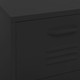 Storage Cabinet Black 16.7"x13.8"x40" Steel product