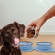 Pet Folding Silicone Bowl product