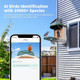Bird Feeder Camera with Smart Solar Panel product