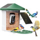 Bird Feeder Camera with Smart Solar Panel product