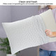 Shredded Memory Foam Bed Pillow (2-Pack) product